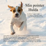 Min Pointer Hulda